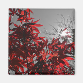 Glut des Herbstes Magnet