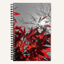 Glut des Herbstes Notizbuch