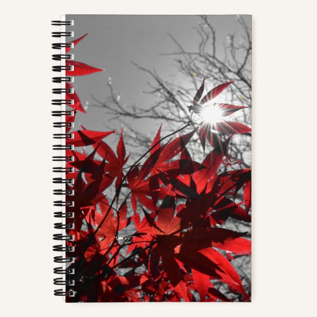 Glut des Herbstes Notizbuch (Vorderseite)