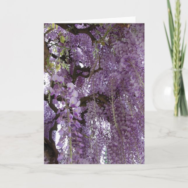 Glyzinien auch karte (Vorderseite)