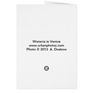 Glyzinien in Venedig