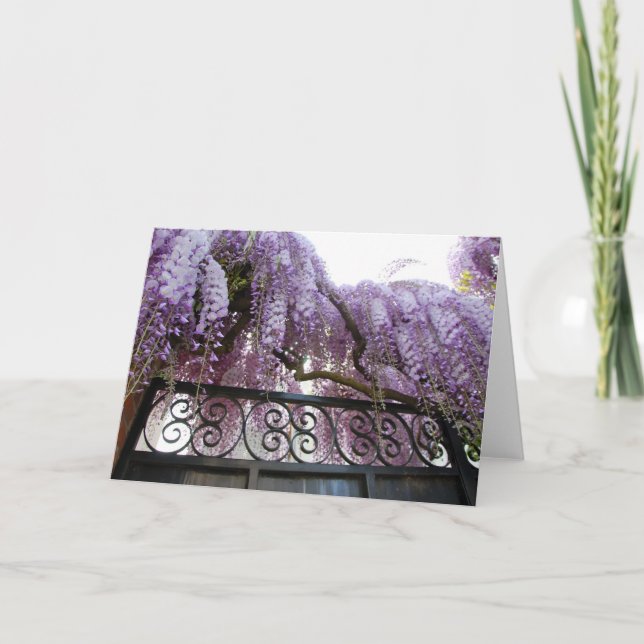 Glyzinien Karte (Vorderseite)