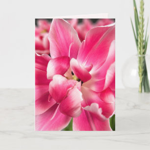 Gnade in jeder Jahreszeit Rosa Tulpen-Faltgrußka Karte
