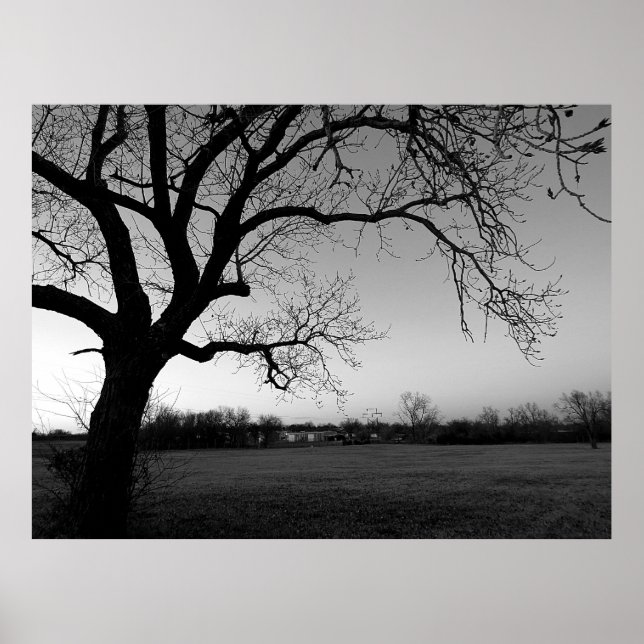 Gnarled Tree Poster (Vorne)
