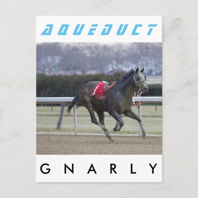 Gnarly Postkarte (Vorderseite)