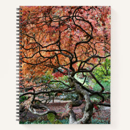 Gnarly Twisted Japanischer Ahornbaum Notizbuch