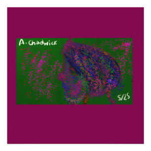 Gnom Quiltmuster Fotodruck