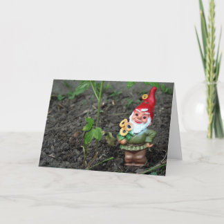 Gnome erhalten wohle Karte