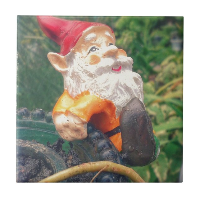 Gnome Hangs um Sukkulenten Fliese (Vorderseite)