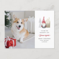 Gnome Regrets Niedlich Pet Foto Christmas