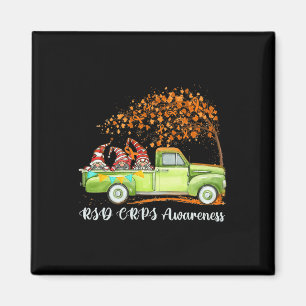 Gnomes Riding Truck Rsd Crps Bewusstsein Magnet