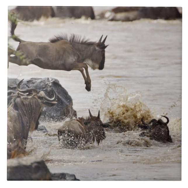 Gnu springt in den Mara-Fluss Fliese (Vorderseite)