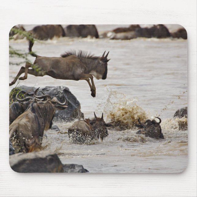 Gnu springt in den Mara-Fluss Mousepad (Vorne)