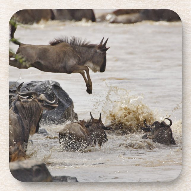 Gnu springt in den Mara-Fluss Untersetzer (Vorderseite)