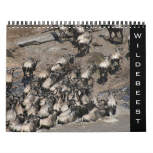 Gnus 2026 kalender