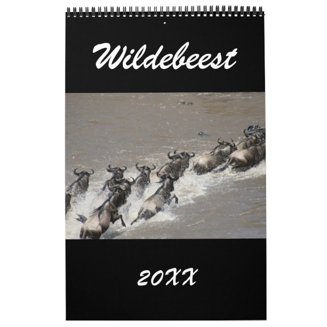 Gnus Afrika Kalender (Titelbild)