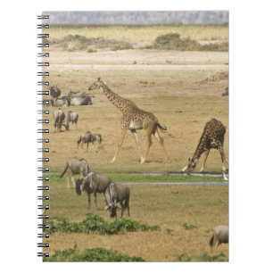 Gnus, Zebras und Giraffen Notizblock