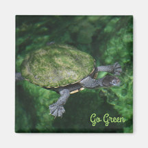 Go Green Turtle Magnet