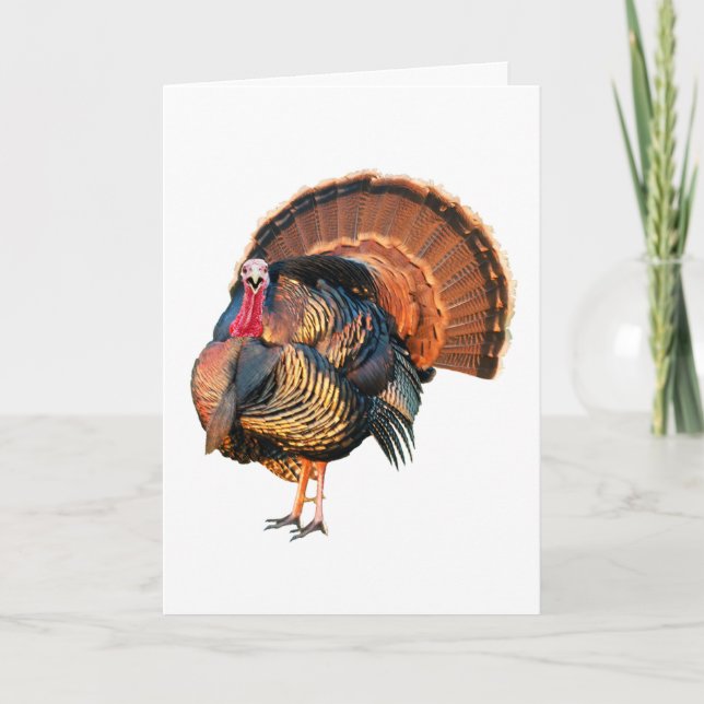 Go Stuff selbst Feiertagskarte (Vorderseite)