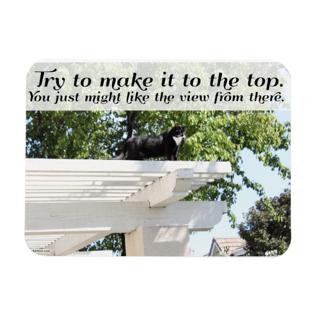 Go und Make it to Top Cat Motivierend Slogan Magnet (Horizontal)