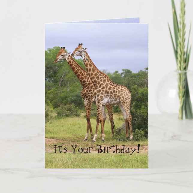 "Go Wild" Glückliche Giraffenkarte zum Geburtstag Karte (Vorderseite)
