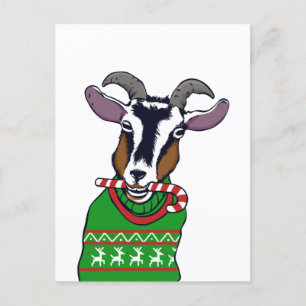 Goat Christmas Sweater Postkarte