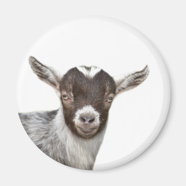 Goat Cute Farm Foto Tier Magnet (Vorne)