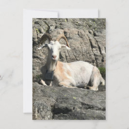 Goat danke Ihrer Karte