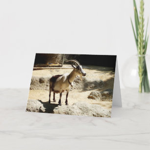 Goat Feiertagskarte