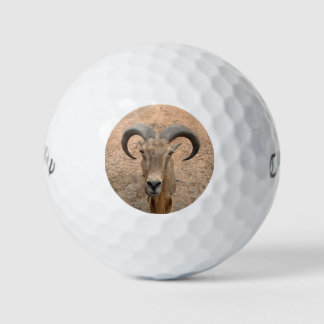 Goat Golf Balls - Foto hinzufügen Golfball