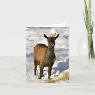 Goat in the snow Xmas card Feiertagskarte