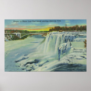 Goat Island View American Falls im Winter Poster