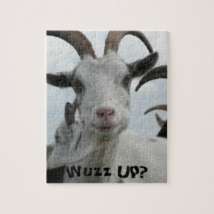 Goat Puzzle