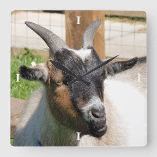 GOAT QUADRATISCHE WANDUHR