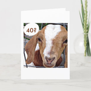 GOAT=SIE HABEN GOT, MICH "40. GEBURTSTAG" ZU KINDE KARTE