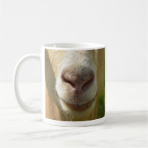 Goat Snout Tasse