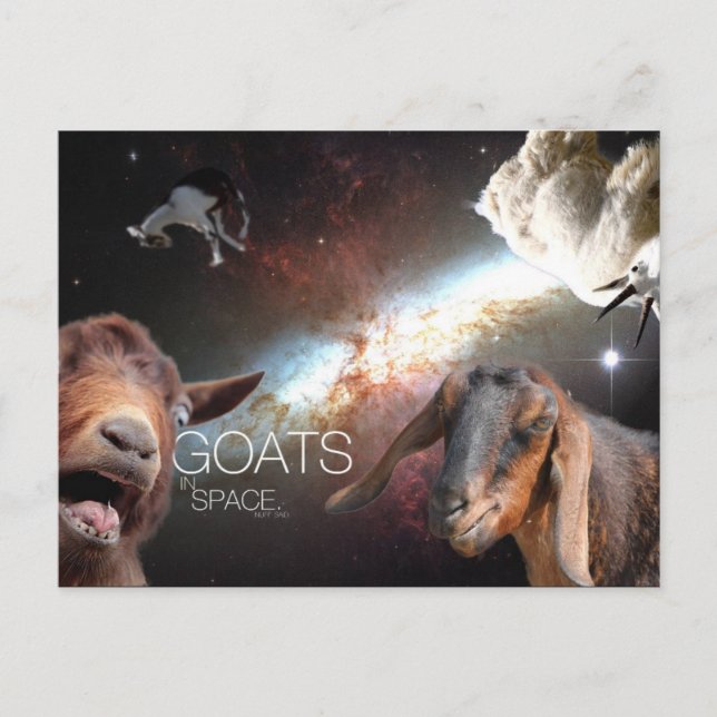 Goats.In.Space Postkarte (Vorderseite)