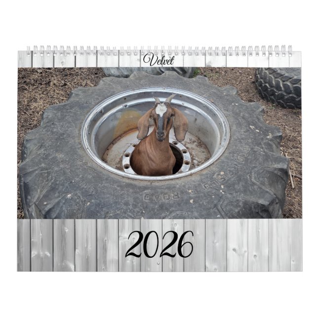 Goats of 2026 calendar kalender (Titelbild)