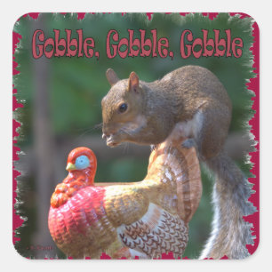 Gobble Gobble Quadratischer Aufkleber