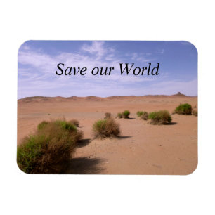 Gobi-Wüstenansicht Magnet