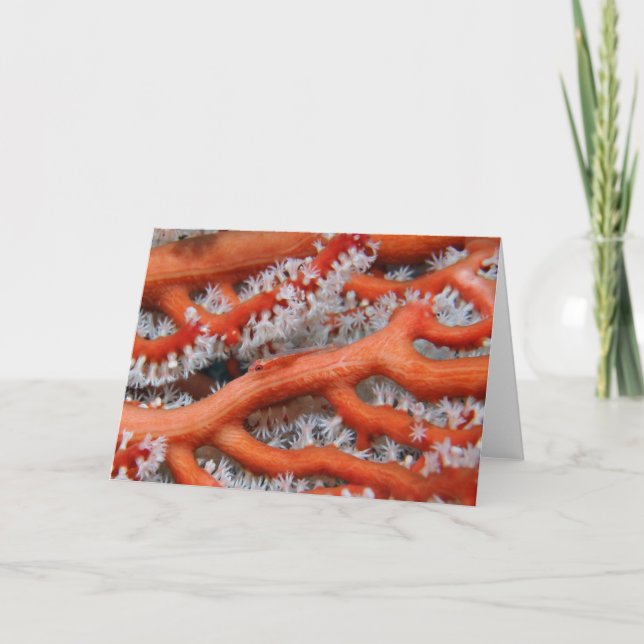 Goby Karte (Vorderseite)