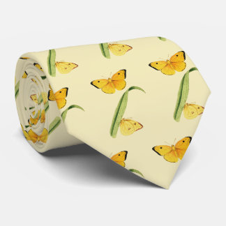 Godarts Colias-Schmetterling Krawatte