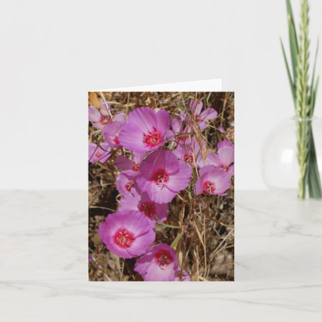 Godetia-Karte Karte (Vorderseite)