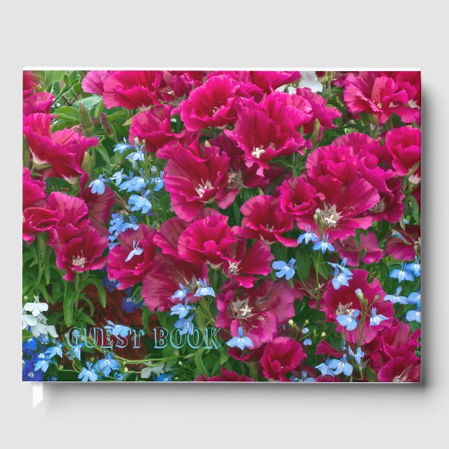 Godetia und Lobelia Gästebuch (Vorderseite)