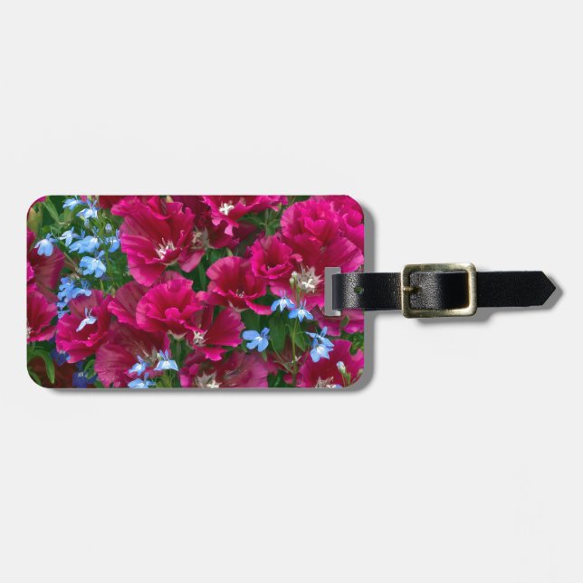 Godetia und Lobelia-Geschenke Gepäckanhänger (Vorderseite horizontal)