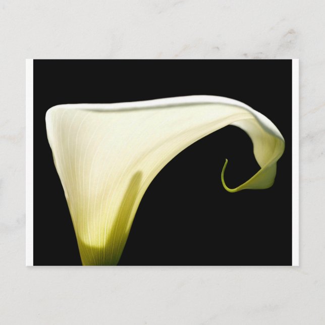 Gods Glory Postkarte (Vorderseite)