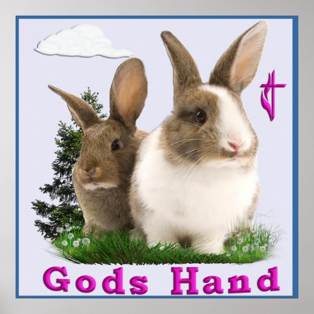 Gods Hand Kaninchen Poster (Vorne)
