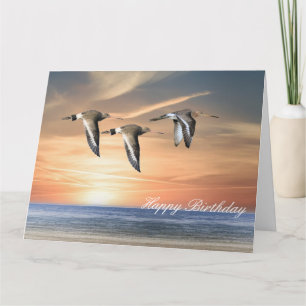 Godwins in Flight Karte