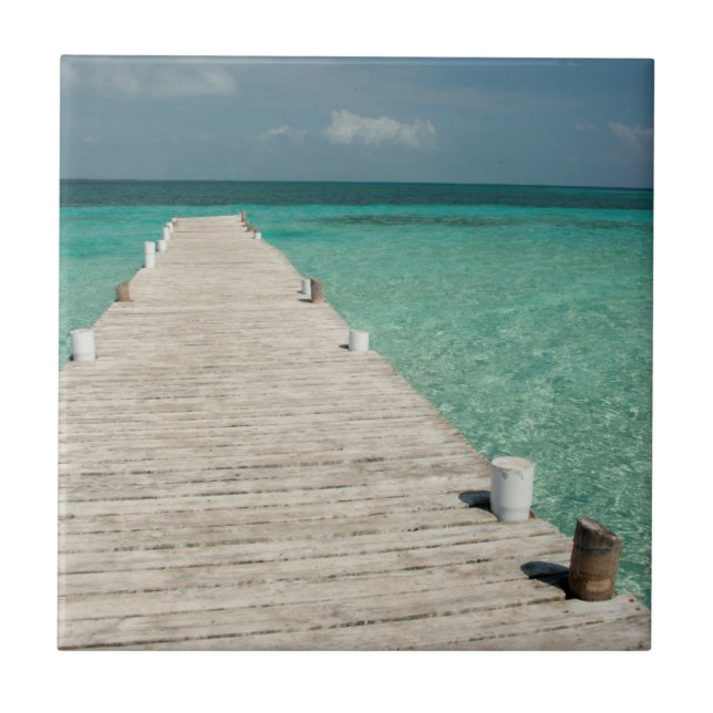 Goff Caye, eine beliebte Insel des Barrier Reef Fliese (Vorderseite)