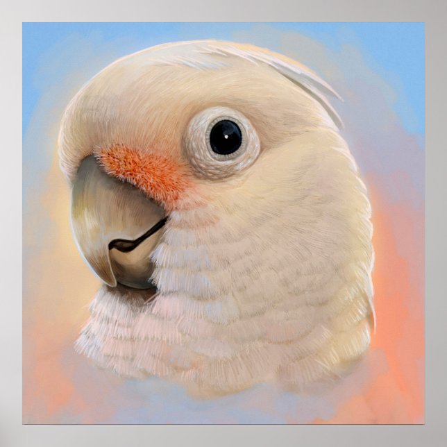 Goffin Tanimbar Corella Cockatoo Poster (Vorne)